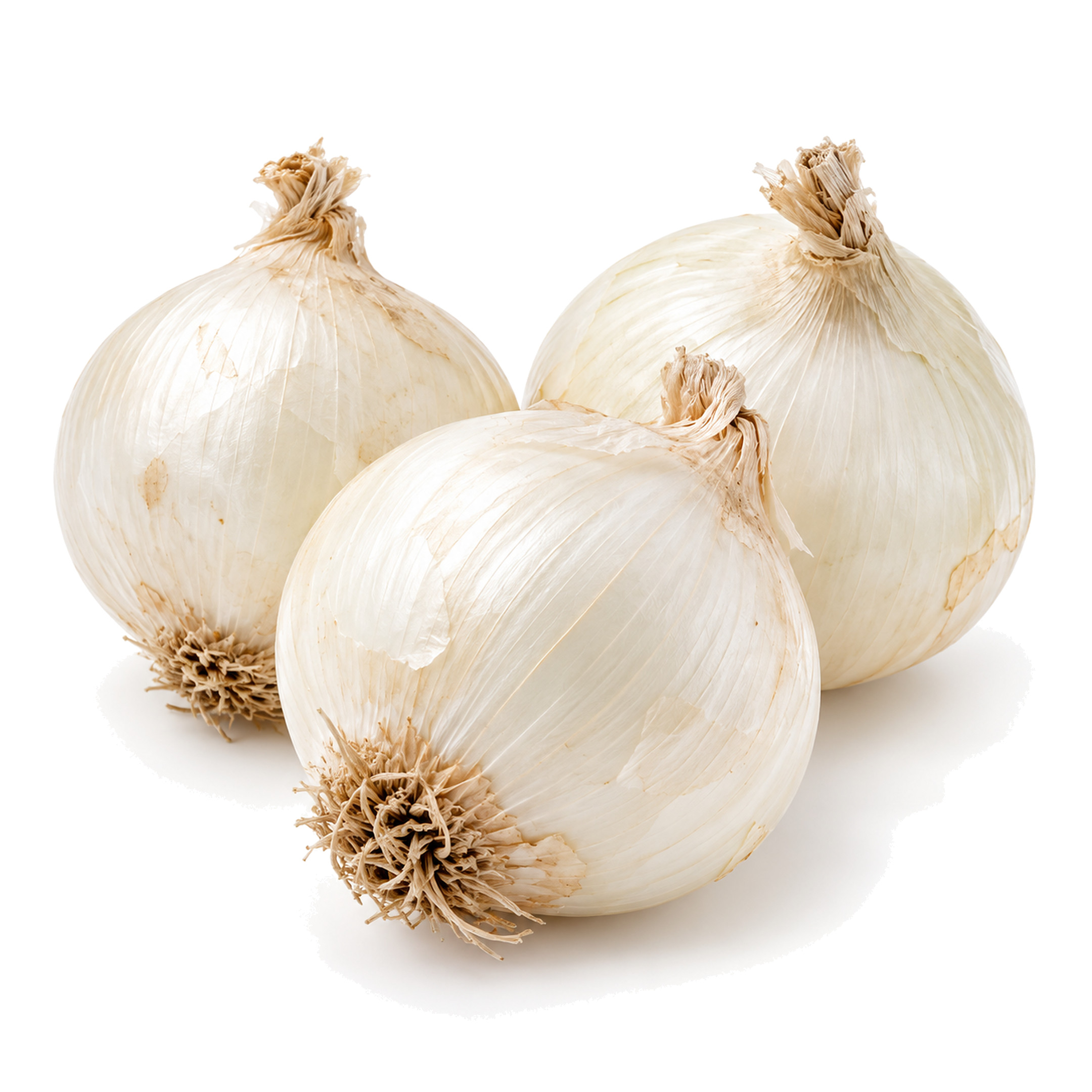 Cebolla dado